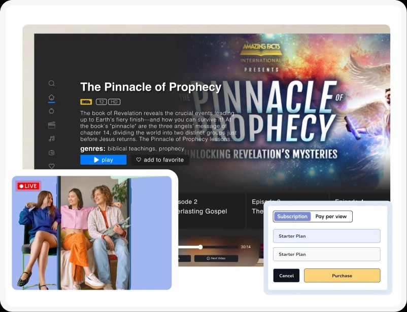 Live streaming platform interface