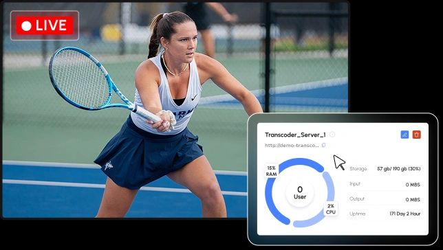 API and CMS Integration